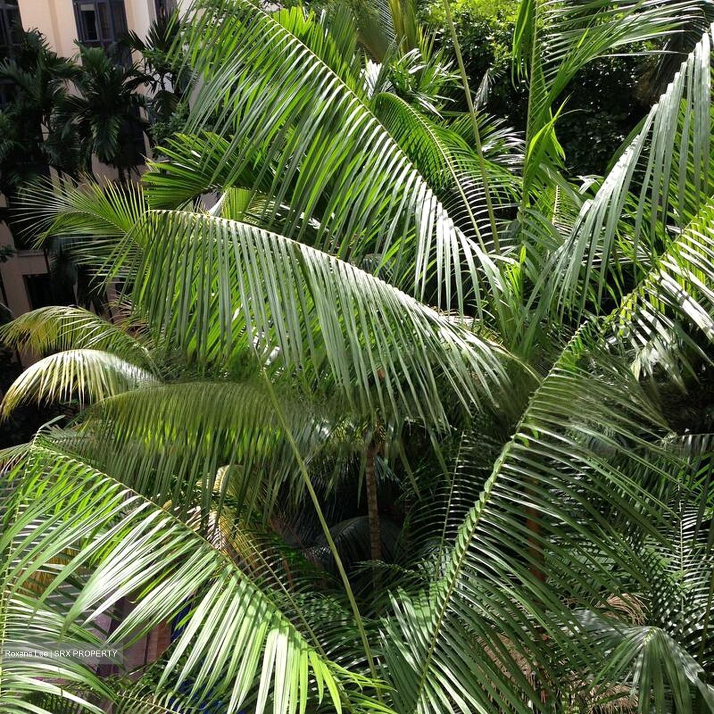 East Meadows (D16), Condominium #467740571